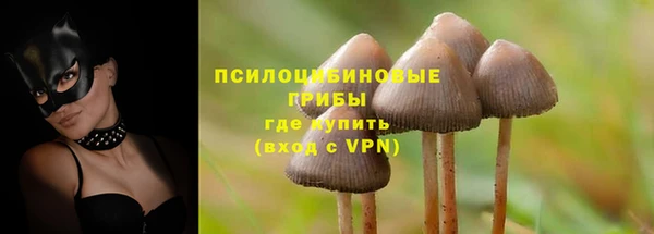 ГАЛЛЮЦИНОГЕННЫЕ ГРИБЫ Алексин